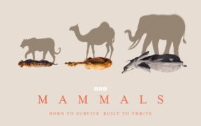 Mammals